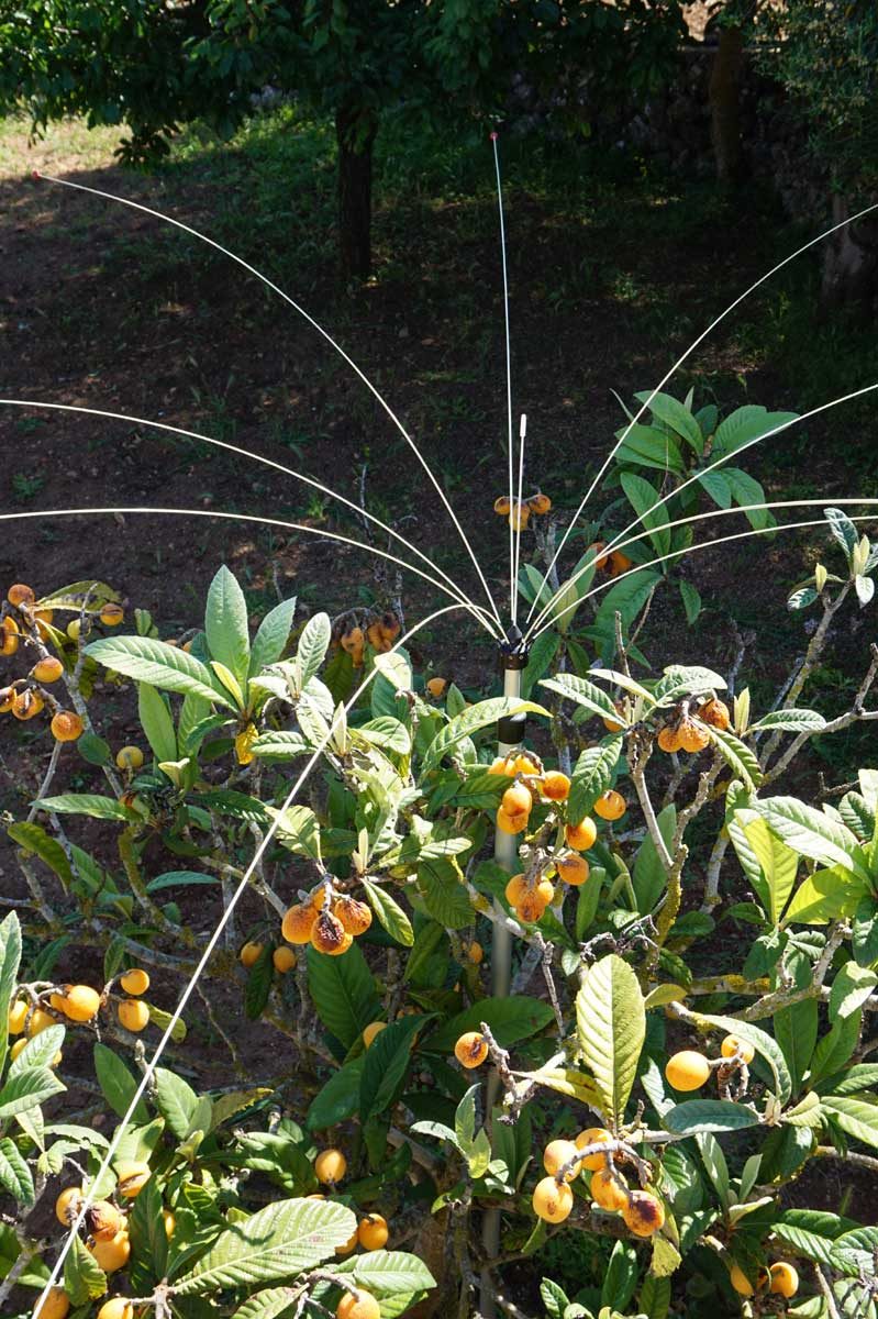 Bird Control for garden and balconies - 6