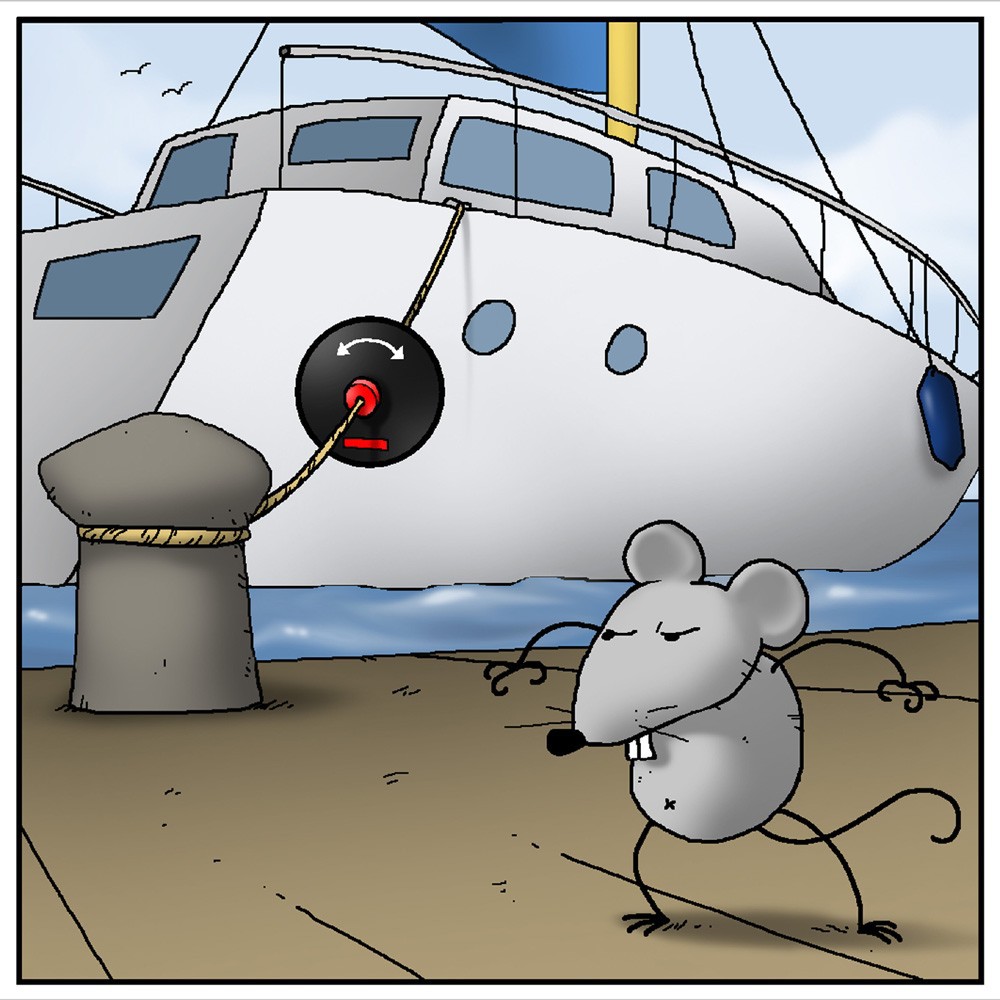 Rat Guards for ropes - 8