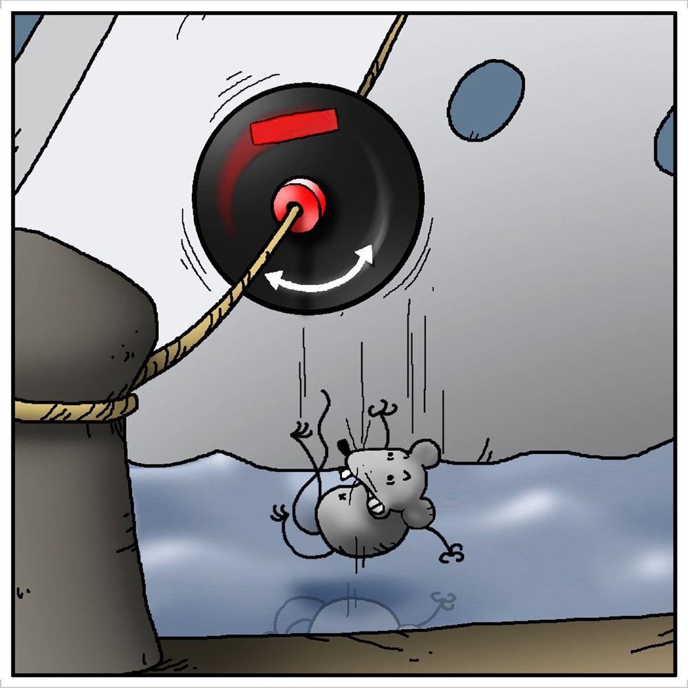 Rat Guards for ropes - 9