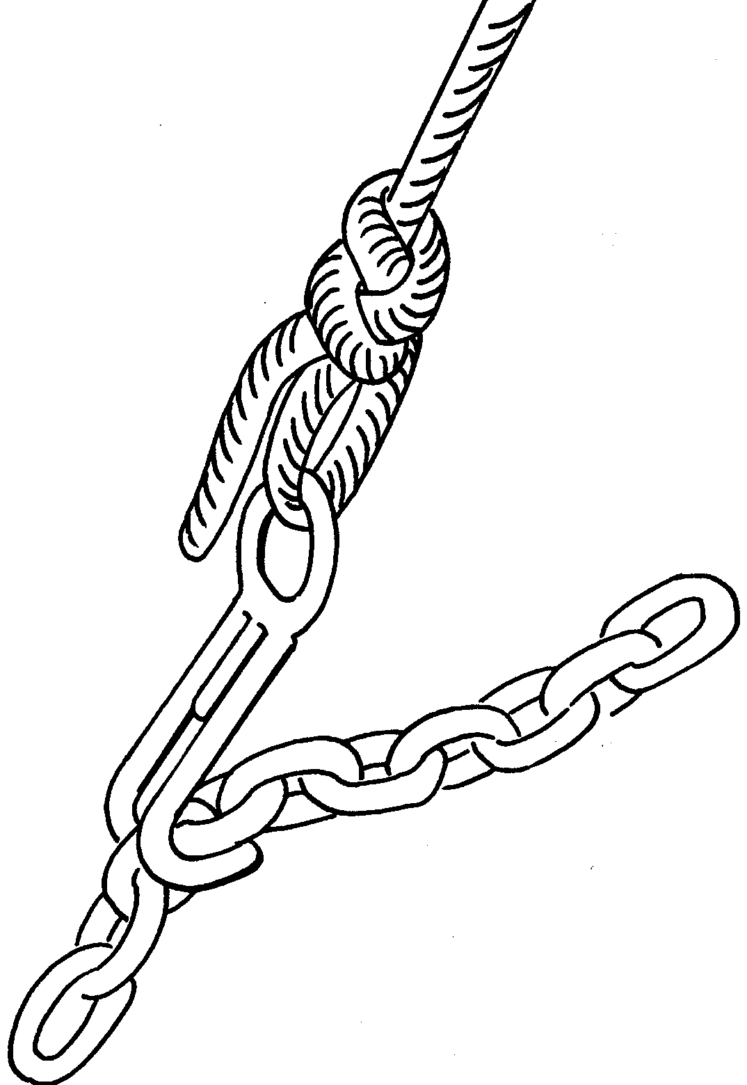 Chain claw in stainless steel - 3