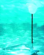 Self-Adjusting Anchor Buoy