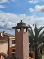 Anti gaviotas multiuso
